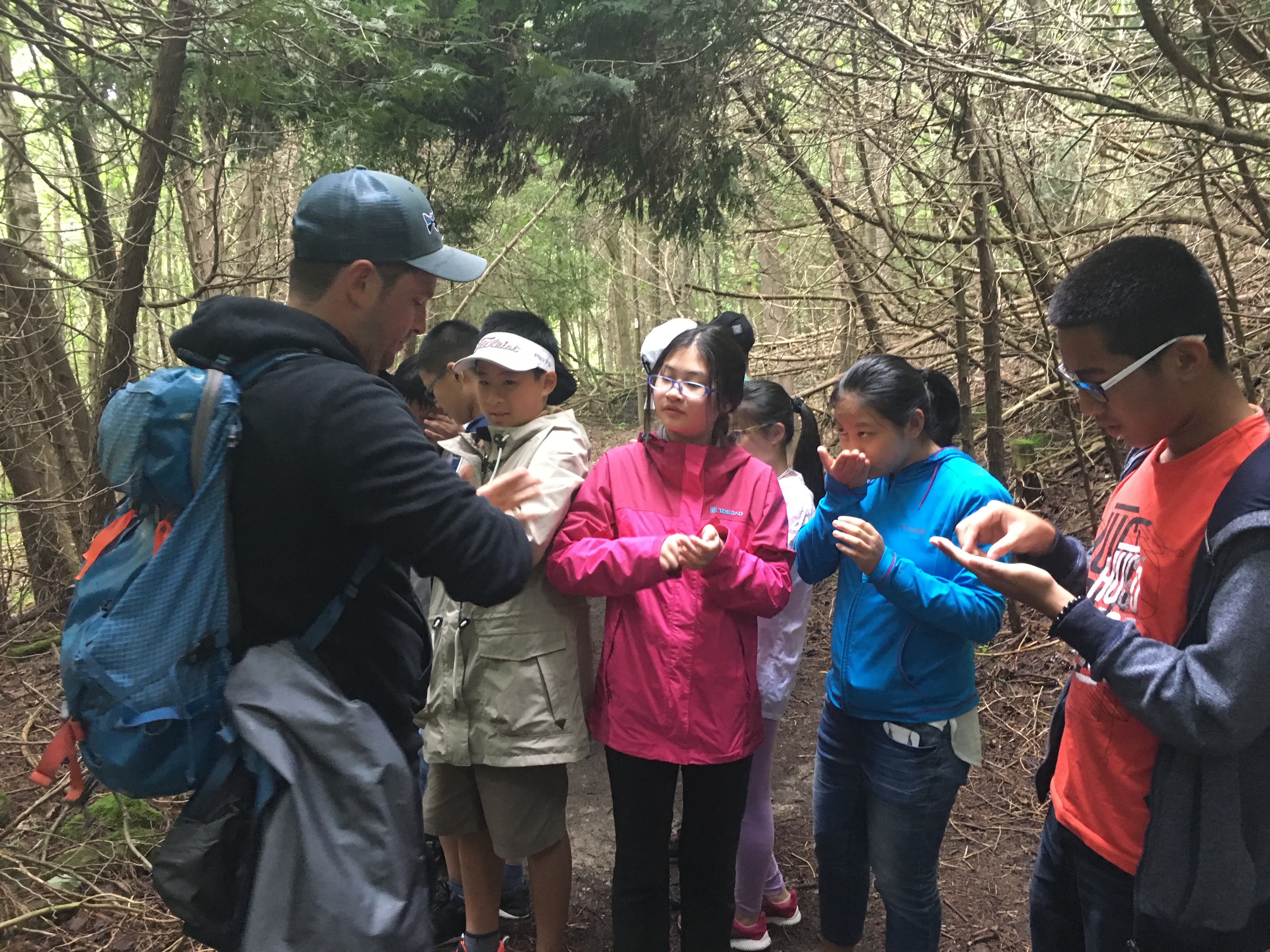 Group of students in forest learning form the teacher Open Gallery